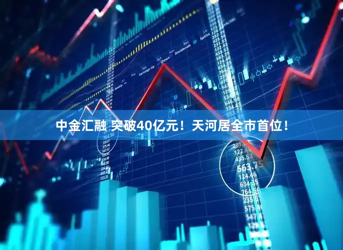 中金汇融 突破40亿元！天河居全市首位！
