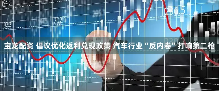 宝龙配资 倡议优化返利兑现政策 汽车行业“反内卷”打响第二枪