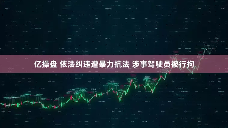 亿操盘 依法纠违遭暴力抗法 涉事驾驶员被行拘