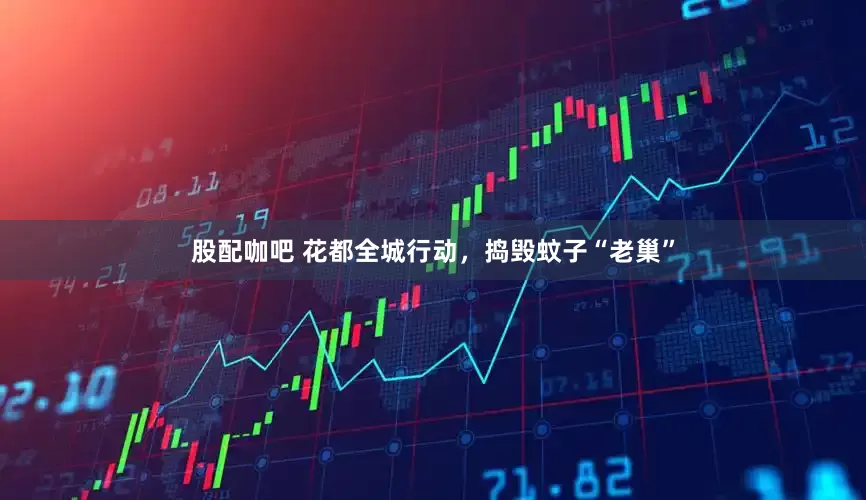 股配咖吧 花都全城行动，捣毁蚊子“老巢”