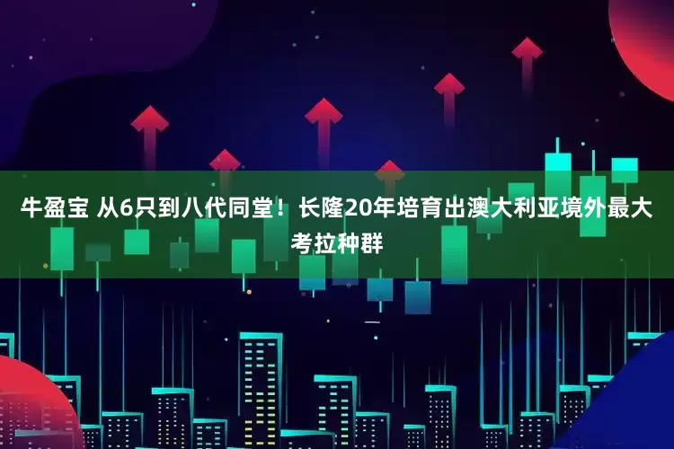 牛盈宝 从6只到八代同堂！长隆20年培育出澳大利亚境外最大考拉种群