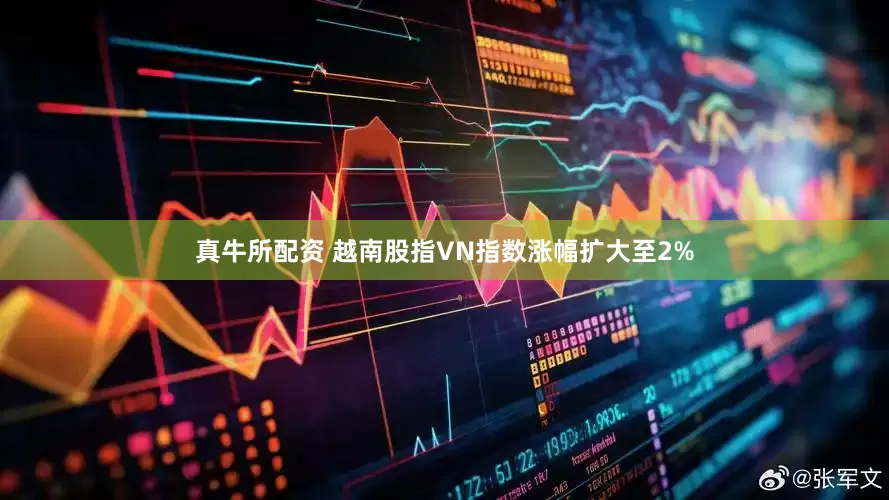 真牛所配资 越南股指VN指数涨幅扩大至2%