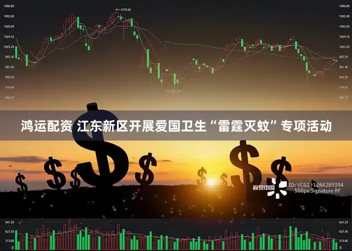 鸿运配资 江东新区开展爱国卫生“雷霆灭蚊”专项活动